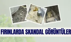 Şanlıurfa’nın Haliliye İlçesindeki Fırınlarda Yeni Skandal Görüntüler