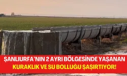 Şanlıurfa’nın 2 Ayrı Bölgesinde Yaşanan Kuraklık ve Su Bolluğu Şaşırtıyor!