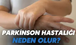 Parkinson Hastalığı Neden Olur?