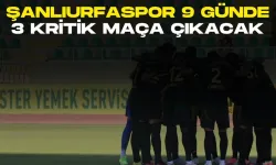 Şanlıurfaspor 9 Günde 3 Kritik Maça Çıkacak