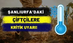 Şanlıurfa İl Tarım ve Orman Müdürlüğü'nden Zirai Don ve Soğuk Hava Uyarısı!