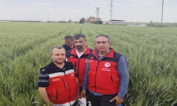 Şanlıurfa’da Hasat Öncesi Toplandılar!