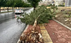 Aksa Uyardı: Şanlıurfa’da Fırtına Sonrası Sessiz Tehlike!