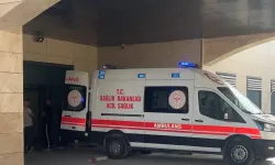 Şanlıurfa’da Trafik Kazası Can Aldı: Bir Kişi Öldü, Sürücü Gözaltında