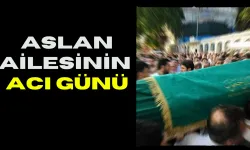 Şanlıurfa’da Aslan Ailesinin Acı Günü
