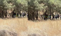 Şanlıurfa’daki Ormanda Bir Kişi Ağaca Asılı Halde Bulundu