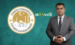 Şanlıurfa Eyyübiye'de Suç Oranları Düşüyor: Bakın Kimler Yakalandı