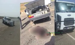 Suruç’taki Kazadan Acı Haber Geldi