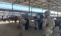 Şanlıurfa’da Bayram Öncesi Huzur Operasyonu