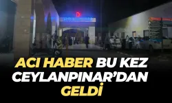 Şanlıurfa’da Genç Evinde Ölü Bulundu