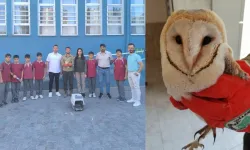 Şanlıurfa'da Sınıfa Giren Çocuklar Şaşkına Döndü: Hemen Ekiplere Haber Verildi