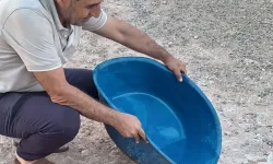 Şanlıurfa’da Sıcağa Dayanamayıp  Mahalleye İndi