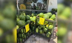 Fiyatı Her Geçen Gün Düşen O Meyve