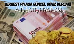 Serbest Piyasa Güncel Döviz Kurları Alış Satış Fiyatları…