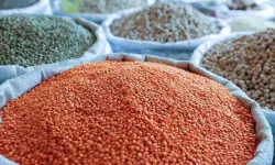 Şanlıurfa’da Hububat Fiyatları Rekor Seviyede! Mercimek Resmen Uçtu