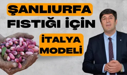 Şanlıurfa Fıstığı İçin İtalya Modeli