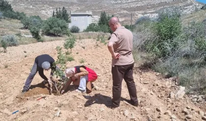 Şanlıurfa’daki Fıstık Üreticileri İçin Kritik Uyarılar!