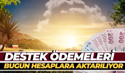 Şanlıurfa'daki Çiftçilerin Heyecanla Beklediği Destek Ödemeleri Bugün Hesaplara Aktarılıyor