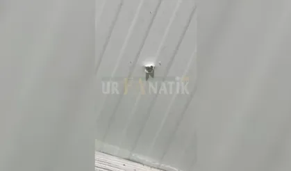 Şanlıurfa’da Tavanda Kurşun Deliği! Ölüm Teğet Geçti