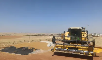 Şanlıurfa Ticaret Borsası'nda Buğday Fiyatları Açıklandı!