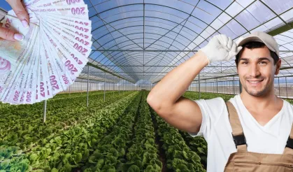 Çiftçiye Afet Desteği Yağdı: Tarım Sigortalarında Rekor Ödeme