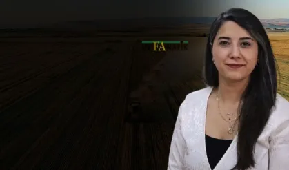 Sular Kesildi, Fıstıklar Kurudu! DEM Parti Vekilinden GAP Tepkisi