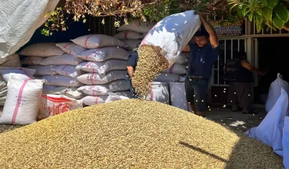 Şanlıurfa’da Fıstık Altınla Yarışıyor! İşte Güncel Fiyatla