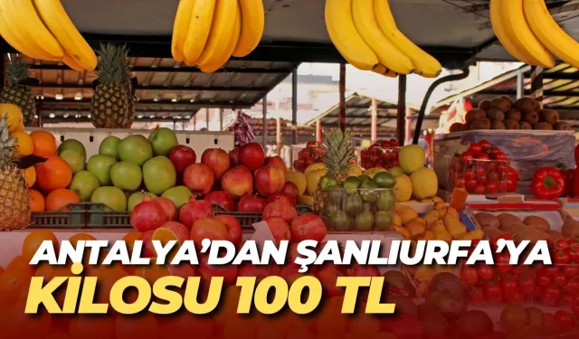 Antalya’dan Şanlıurfa’ya: Kilosu 100 TL
