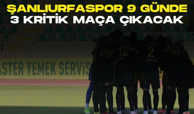 Şanlıurfaspor 9 Günde 3 Kritik Maça Çıkacak