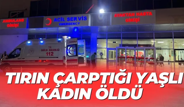 Şanlıurfa’da Tırın Çarptığı Yaşlı Kadın Öldü