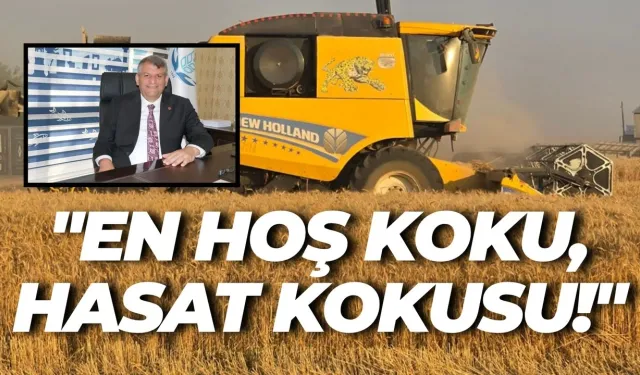 Akçakale Ovası’nda Hasat Zamanı!