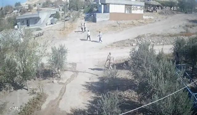 Birecik’te Baygın Haldeki Şahsı Yerde Darbeden Kardeşler Tutuklandı