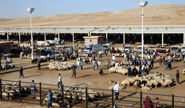 Bakanlık Müjdeyi Verdi, Ama Şanlıurfa Listede Yok!