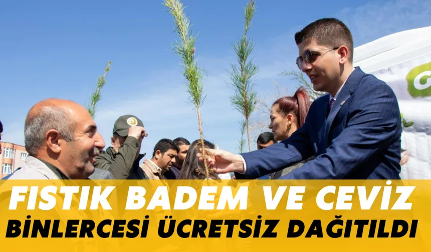 Şanlıurfalı Çiftçiler Fıstık Budamasından Sonra Buna Dikkat!