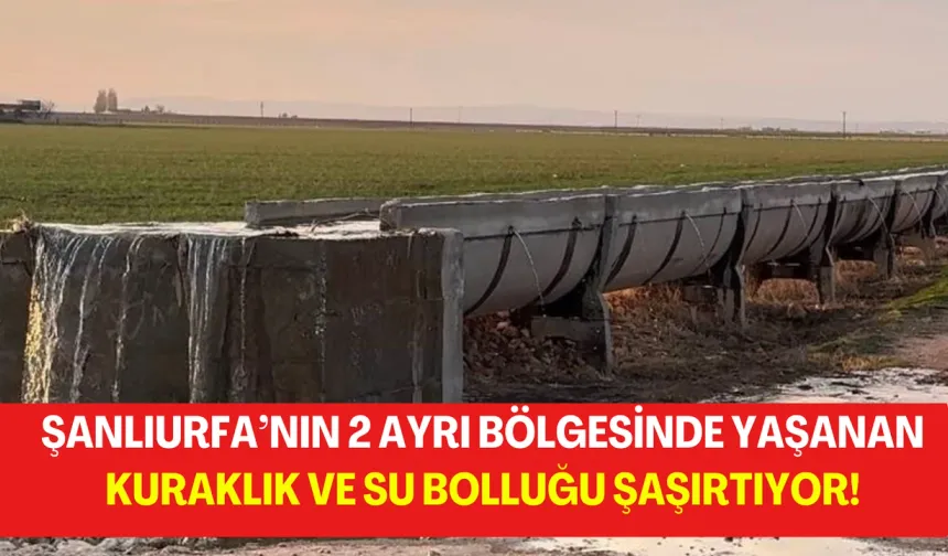 Şanlıurfa’nın 2 Ayrı Bölgesinde Yaşanan Kuraklık ve Su Bolluğu Şaşırtıyor!
