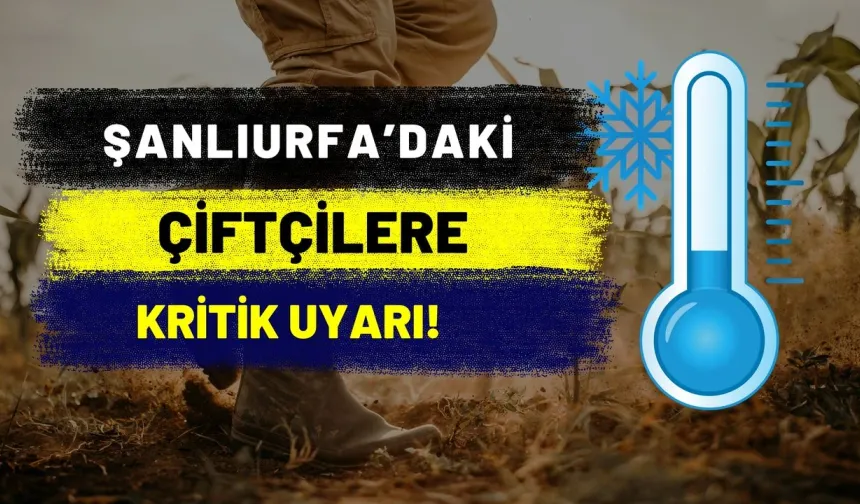 Şanlıurfa İl Tarım ve Orman Müdürlüğü'nden Zirai Don ve Soğuk Hava Uyarısı!