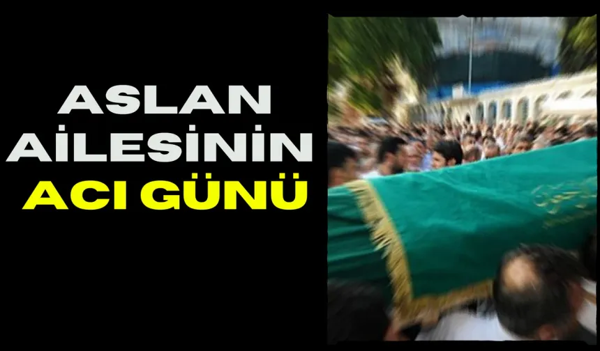 Şanlıurfa’da Aslan Ailesinin Acı Günü