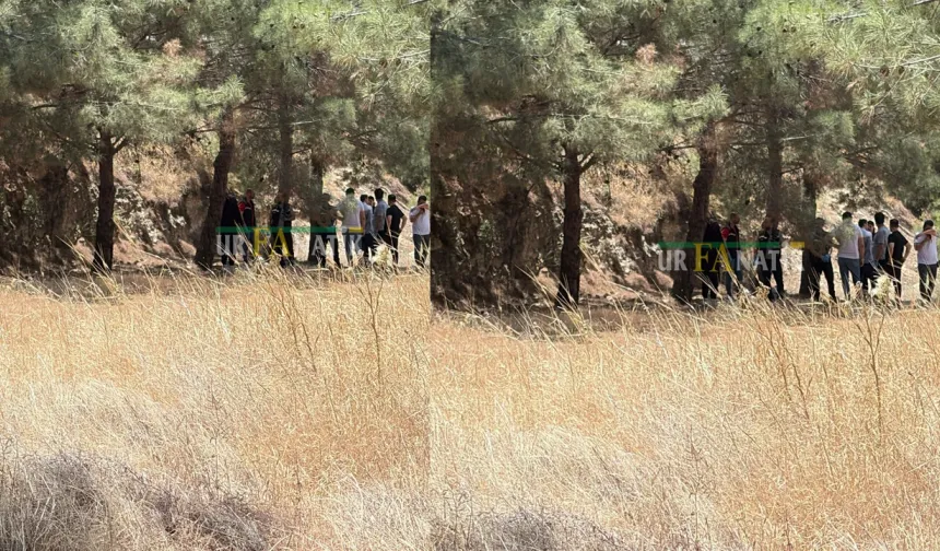 Şanlıurfa’daki Ormanda Bir Kişi Ağaca Asılı Halde Bulundu