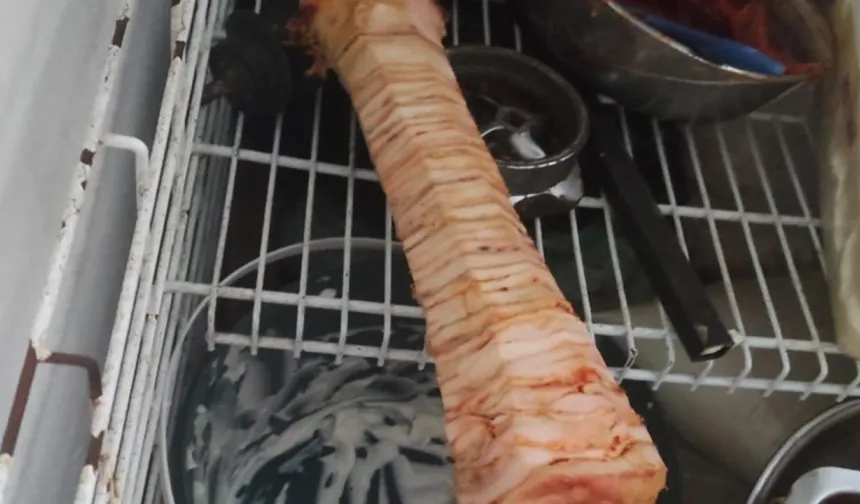 Bayat Döner Skandalı! Şanlıurfa’da Zehir Saçan Lokantaya Baskın