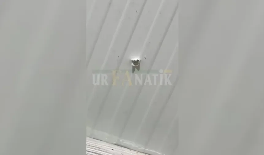 Şanlıurfa’da Tavanda Kurşun Deliği! Ölüm Teğet Geçti