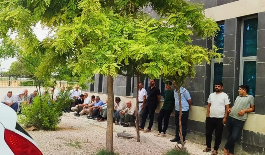 Suruç Morgu Önünde Gölgelik Krizi