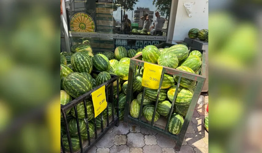 Fiyatı Her Geçen Gün Düşen O Meyve