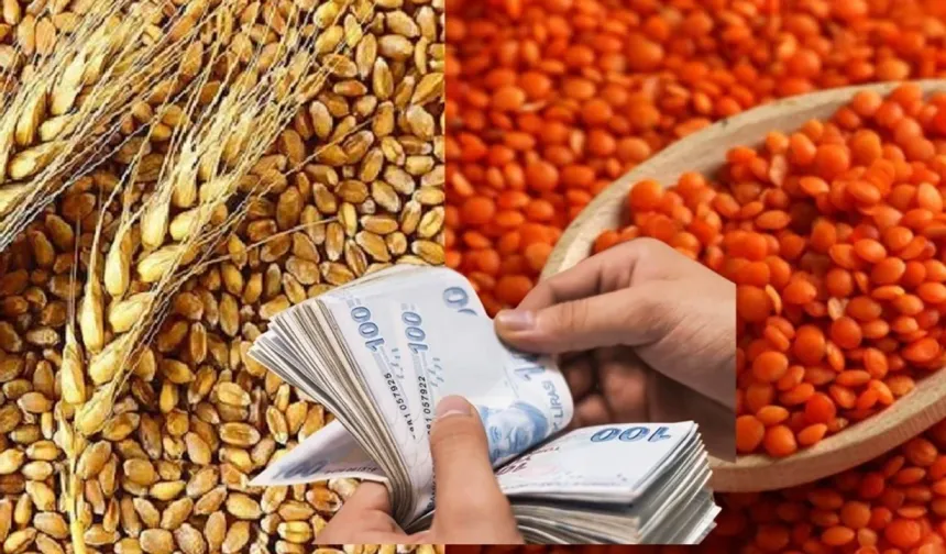 Şanlıurfa’da Üreticinin Yüzü Gülüyor: Hububat Fiyatlarında Zirve